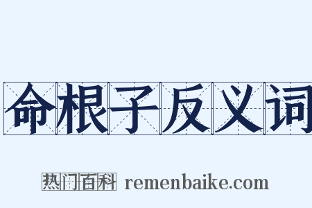 命根子反义词是什么意思的图片